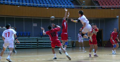 手球地板，手球館運動木地板